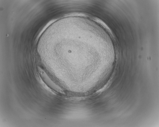 X0000077320860200611171741