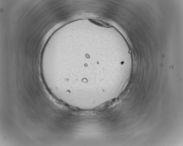 X0000077320861200611171741