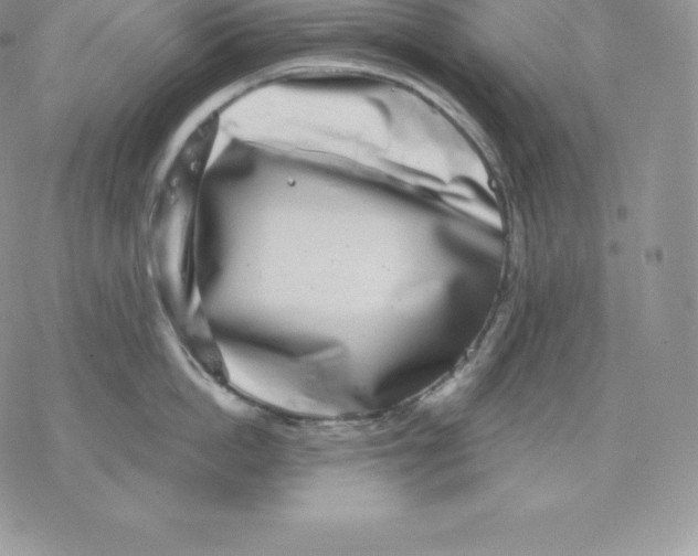 X0000077320862200611171741