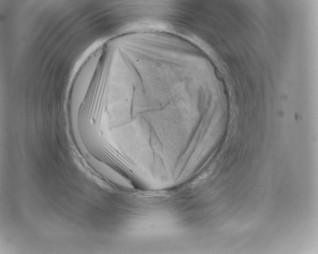 X0000077320864200611171741