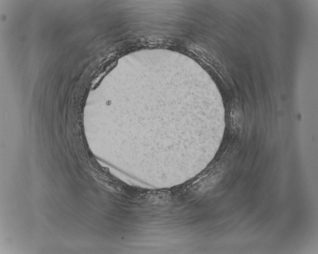 X0000077320865200611171740