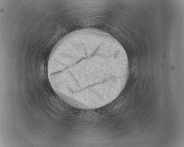 X0000077320866200611171740