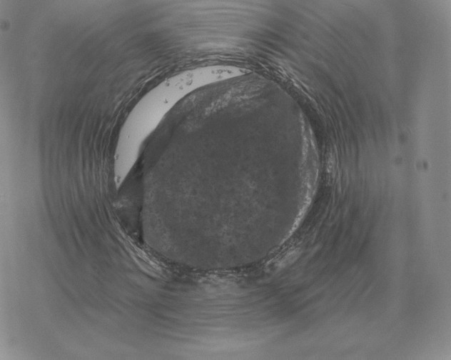 X0000077320868200611171740