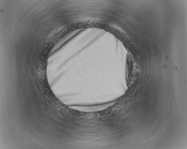 X0000077320869200611171740