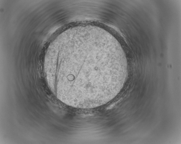 X0000077320871200611171740