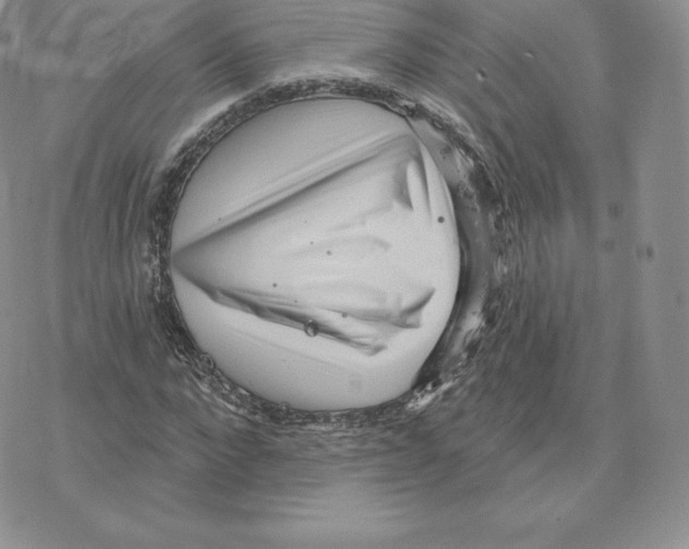 X0000077320872200611171740