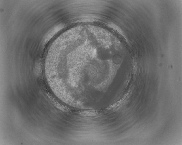 X0000077320874200611171740