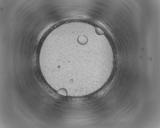 X0000077320875200611171740