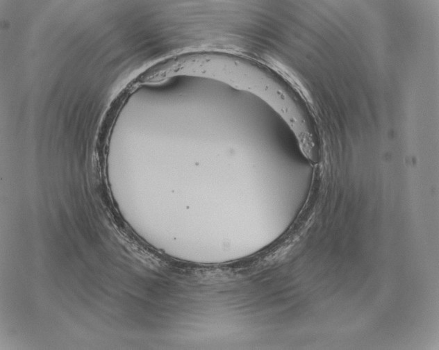 X0000077320876200611171740