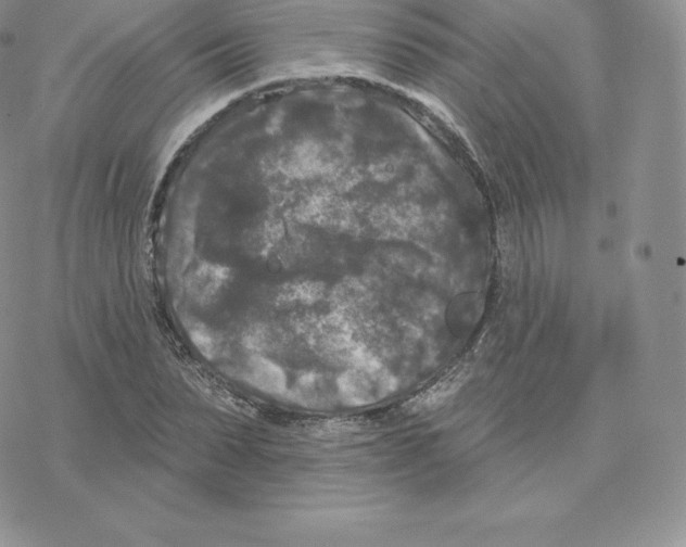 X0000077320879200611171740