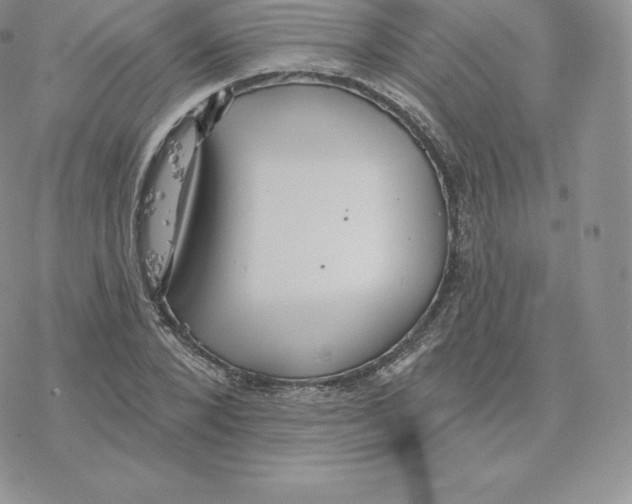 X0000077320880200611171740