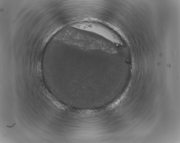 X0000077320881200611171740