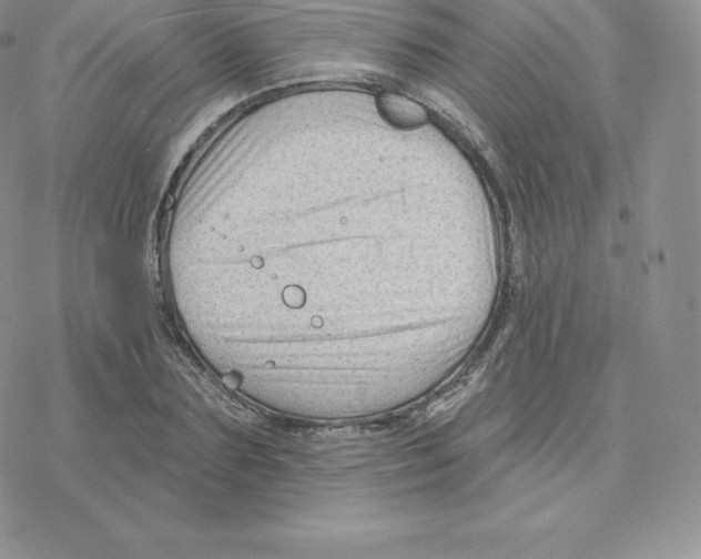 X0000077320883200611171740