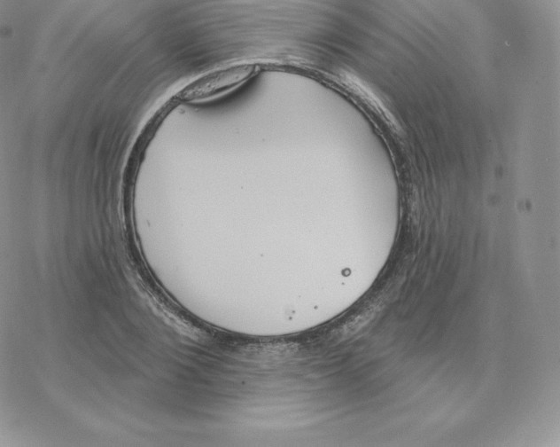 X0000077320884200611171740