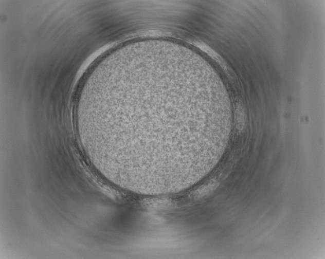 X0000077320886200611171740