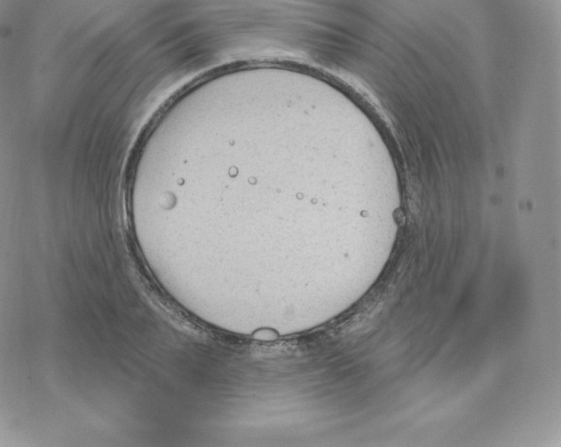 X0000077320887200611171740