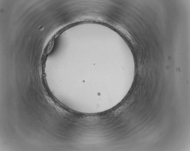 X0000077320888200611171739