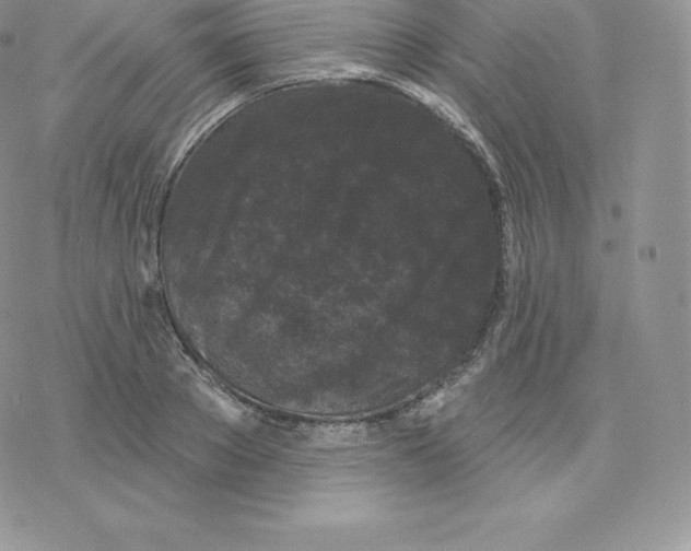 X0000077320889200611171739