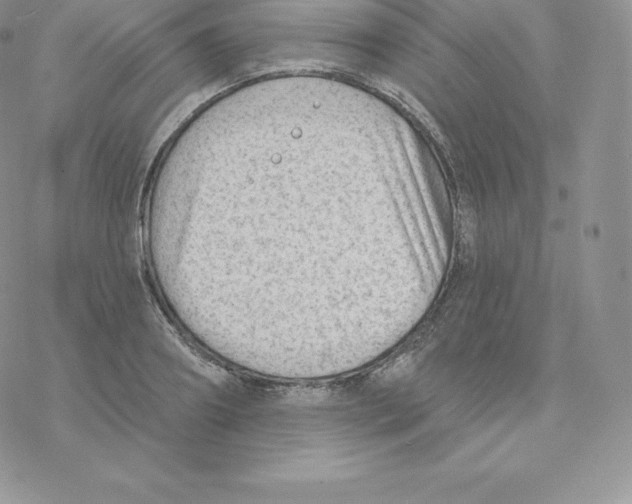 X0000077320890200611171739