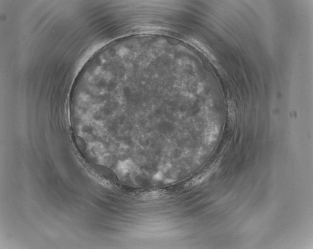 X0000077320891200611171739