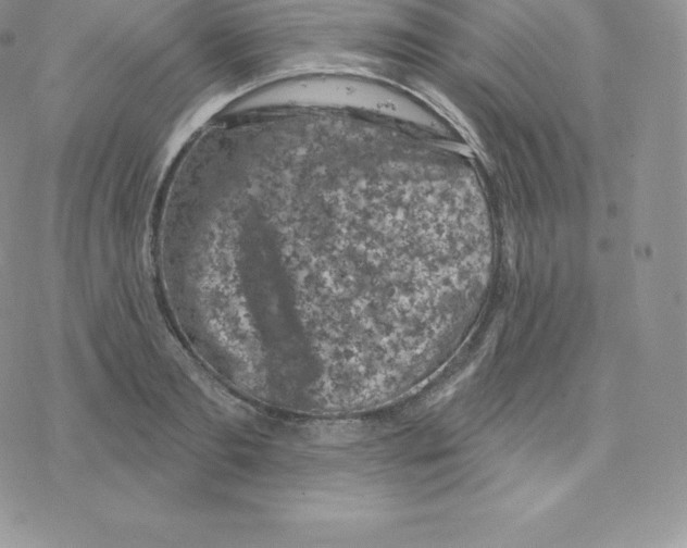 X0000077320893200611171739