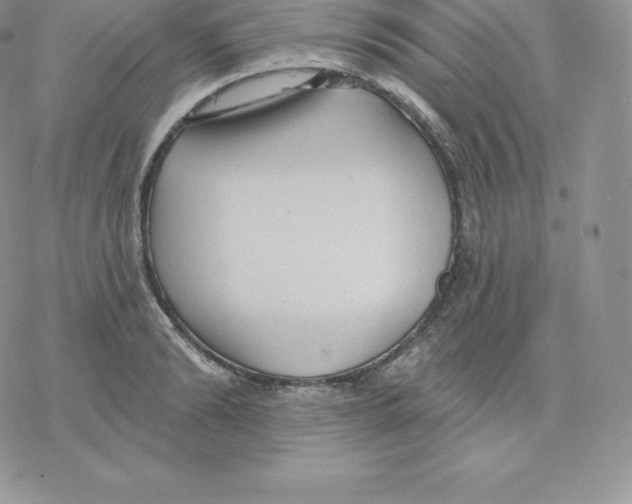 X0000077320894200611171739