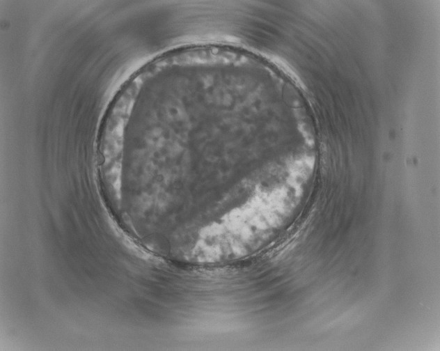 X0000077320895200611171739