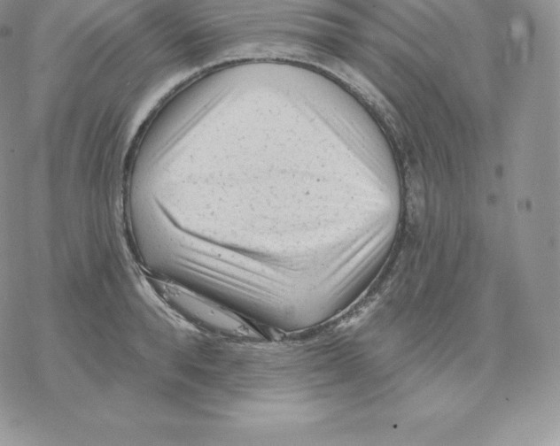 X0000077320896200611171739