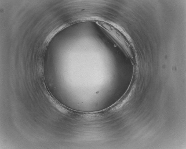 X0000077320897200611171739