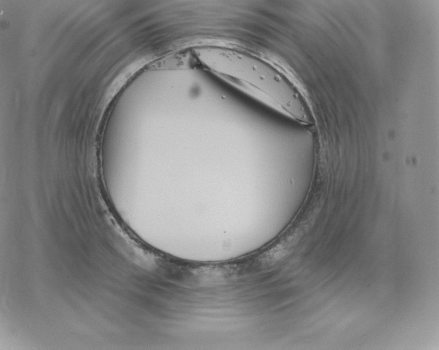 X0000077320898200611171739