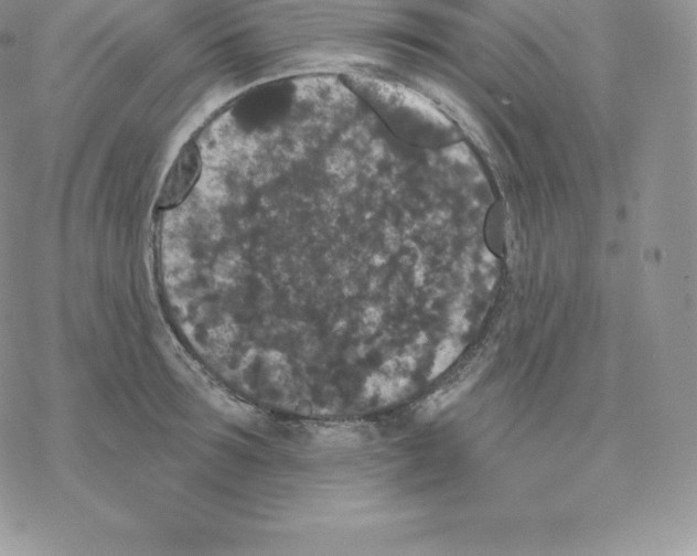 X0000077320899200611171739