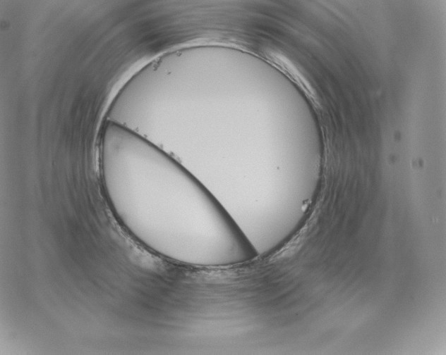 X0000077320900200611171739