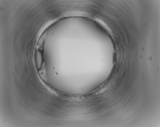 X0000077320901200611171739