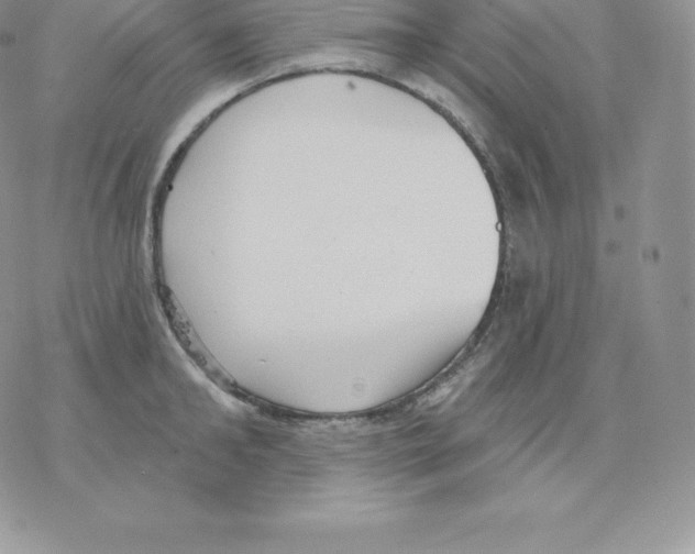 X0000077320902200611171739