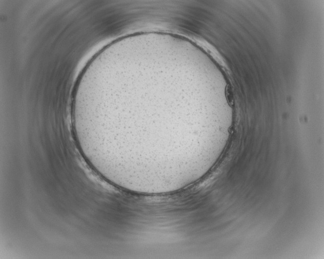 X0000077320904200611171739