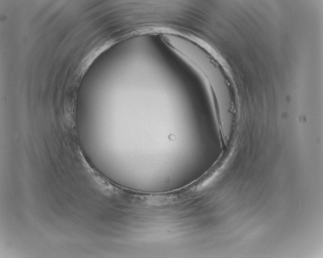 X0000077320905200611171739