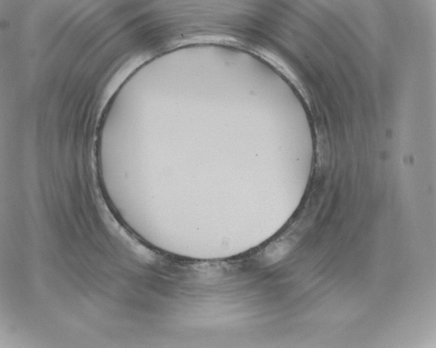 X0000077320906200611171739