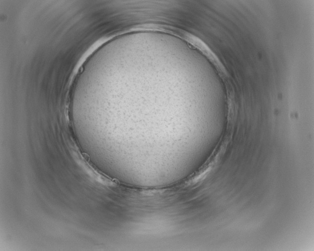 X0000077320908200611171739