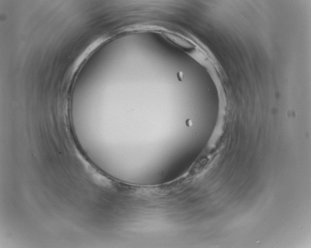 X0000077320909200611171739