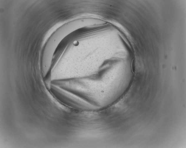 X0000077320910200611171739