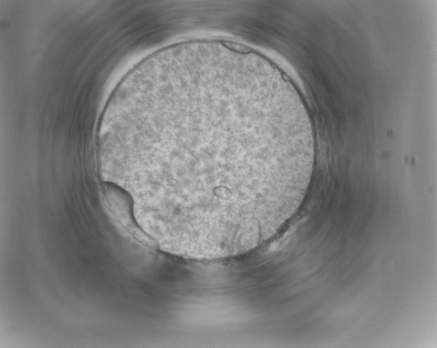 X0000077320911200611171739