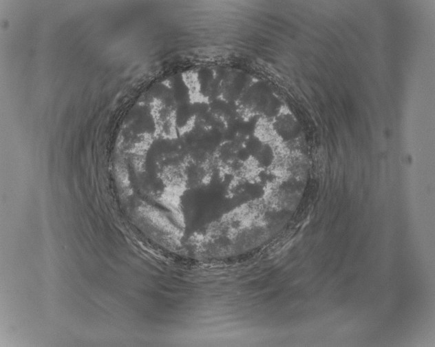 X0000077320913200611171738