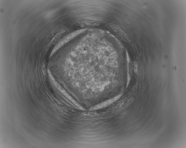 X0000077320915200611171738