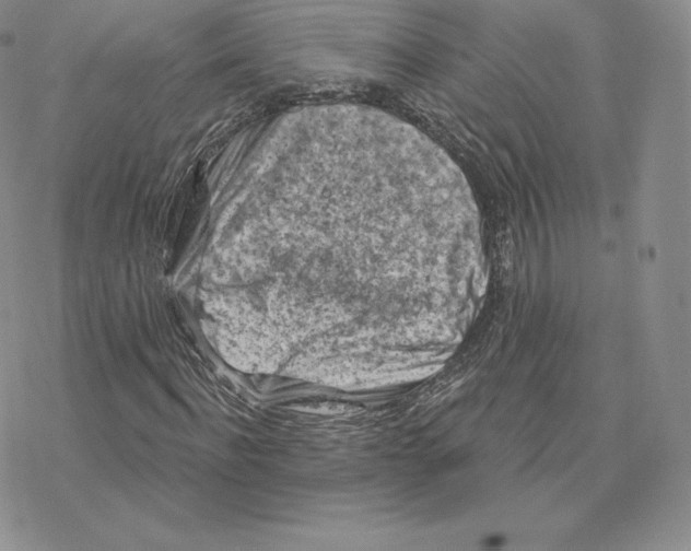 X0000077320916200611171738