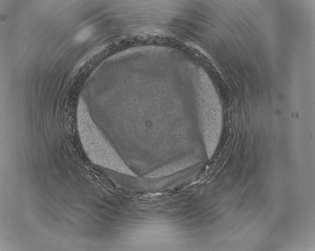 X0000077320919200611171738