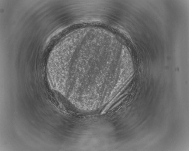 X0000077320920200611171738