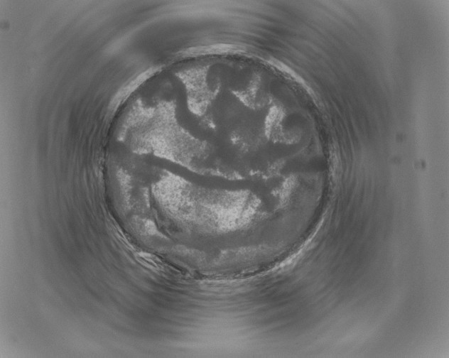 X0000077320921200611171738