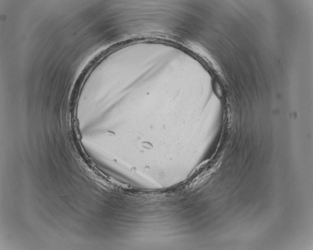 X0000077320924200611171738