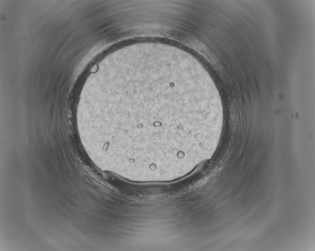 X0000077320926200611171739