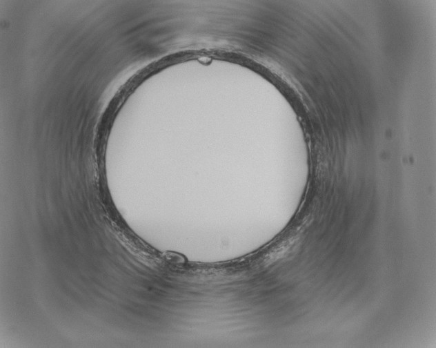 X0000077320927200611171739